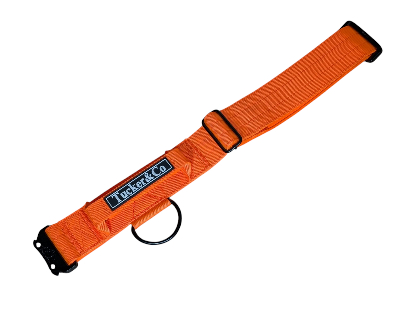 Tucker&Co London Tactical Collar with Handle in Orange.